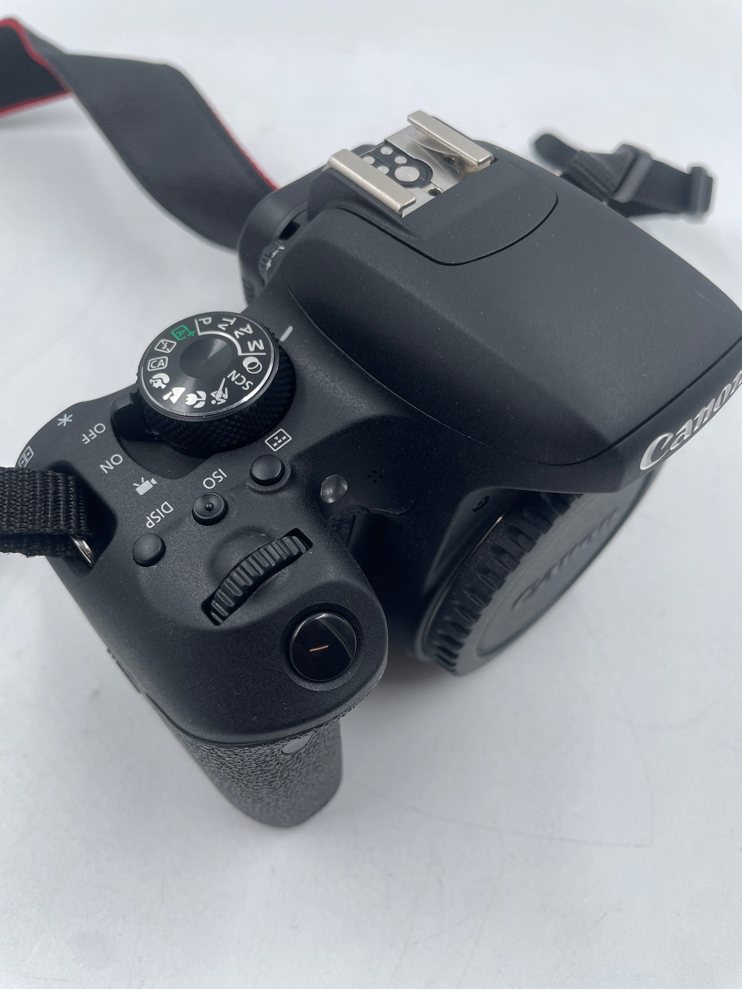 Canon EOS Rebel T7i 24.2MP Cinema Camcorder