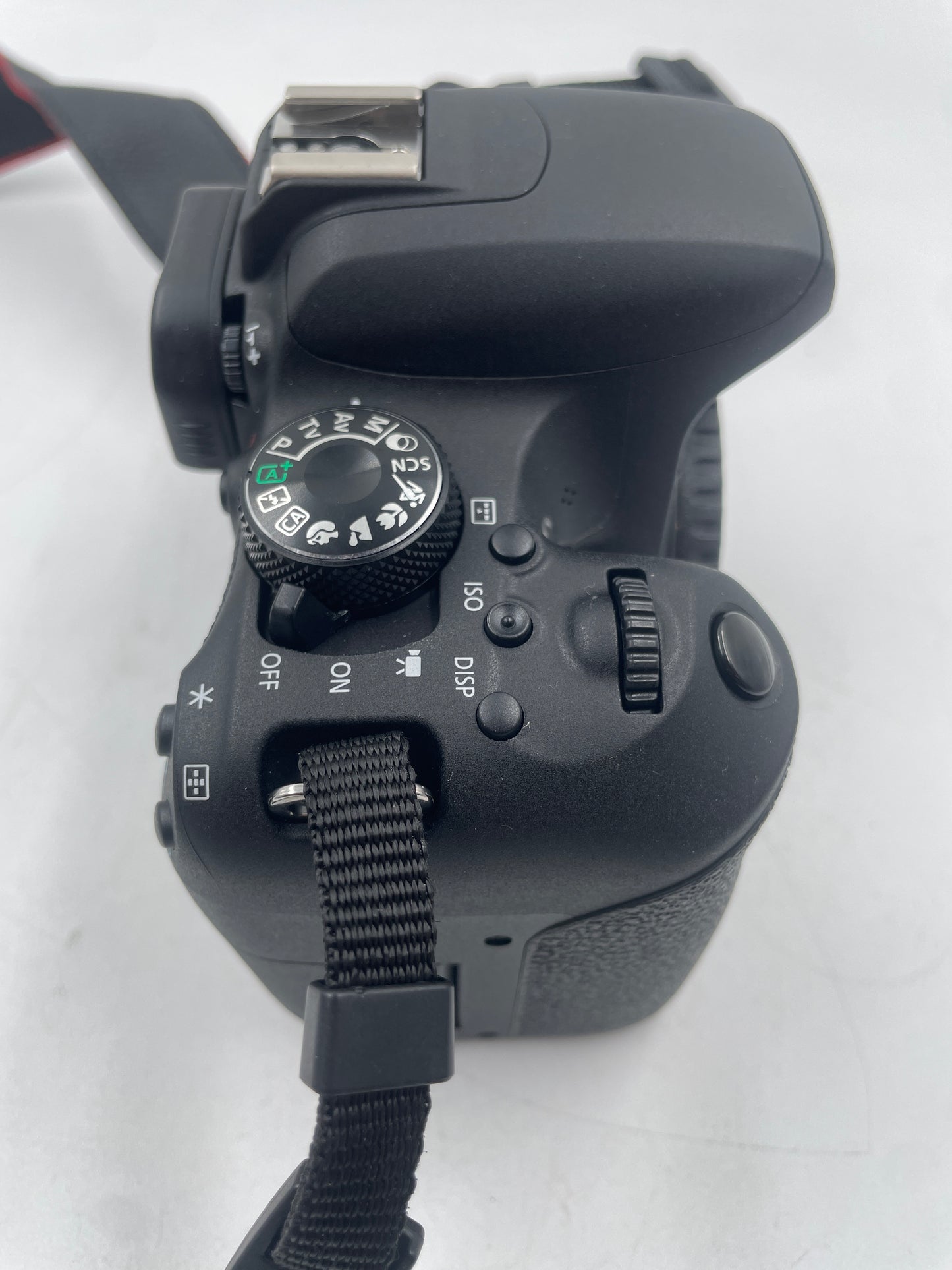 Canon EOS Rebel T7i 24.2MP Cinema Camcorder