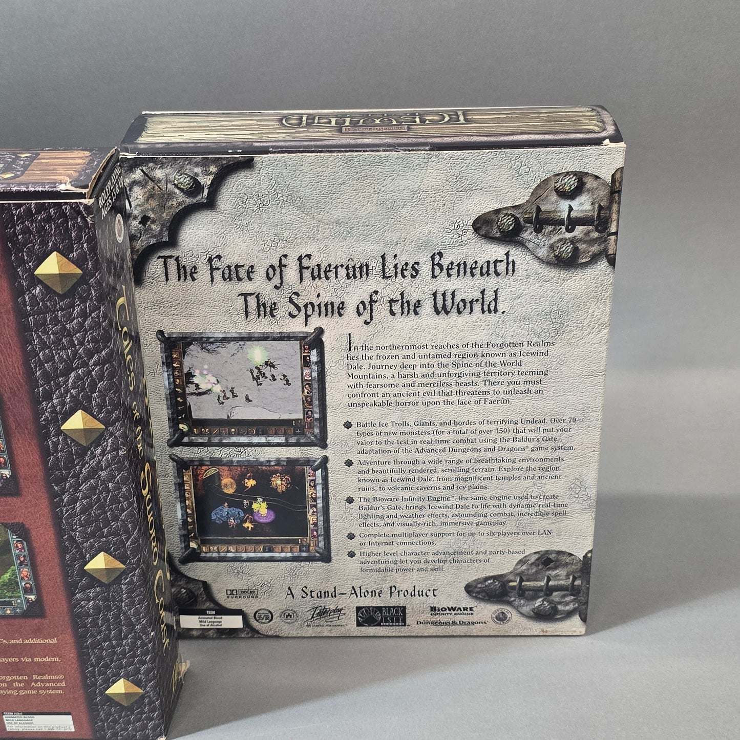 Forgotten Realms Baldur's Gate Collection PC Games